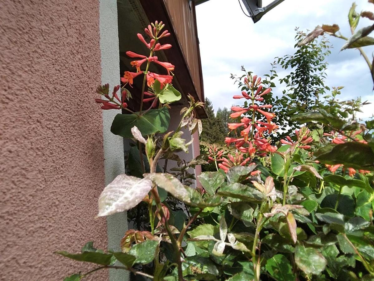 Ferienhaus Gstoderblick Seebach  Dış mekan fotoğraf
