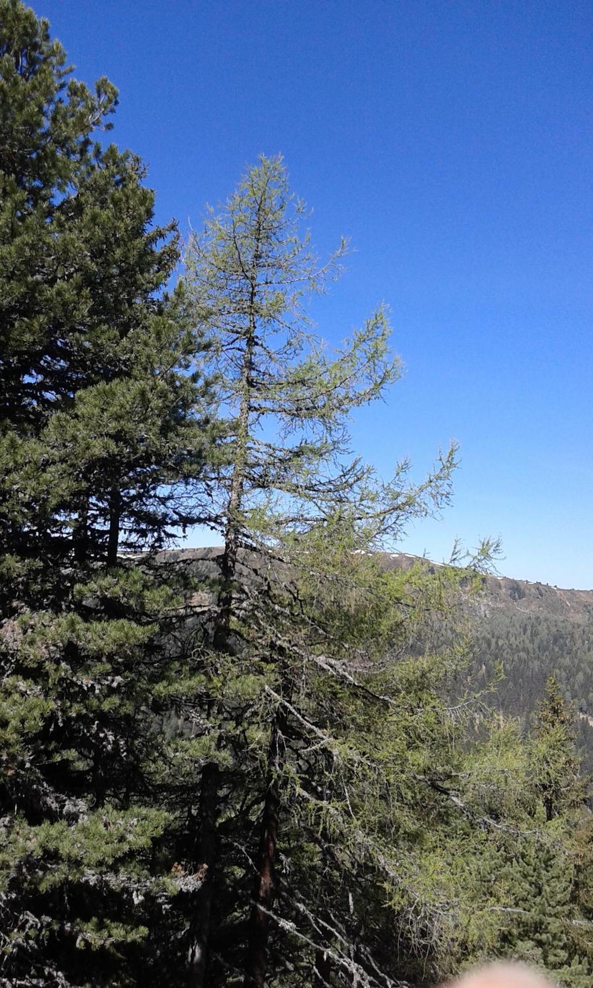 Ferienhaus Gstoderblick Seebach  Dış mekan fotoğraf